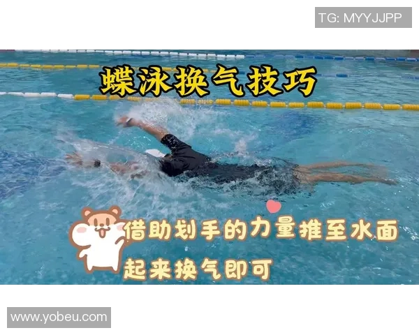 蝶泳比赛规则及技巧解析